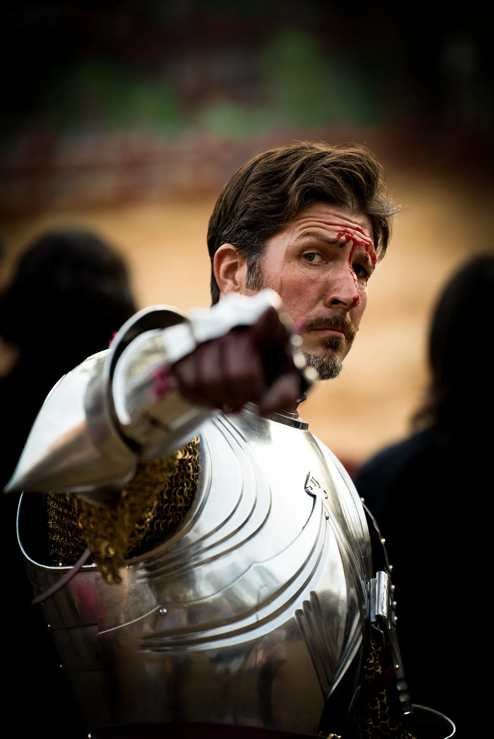 Knight portrait