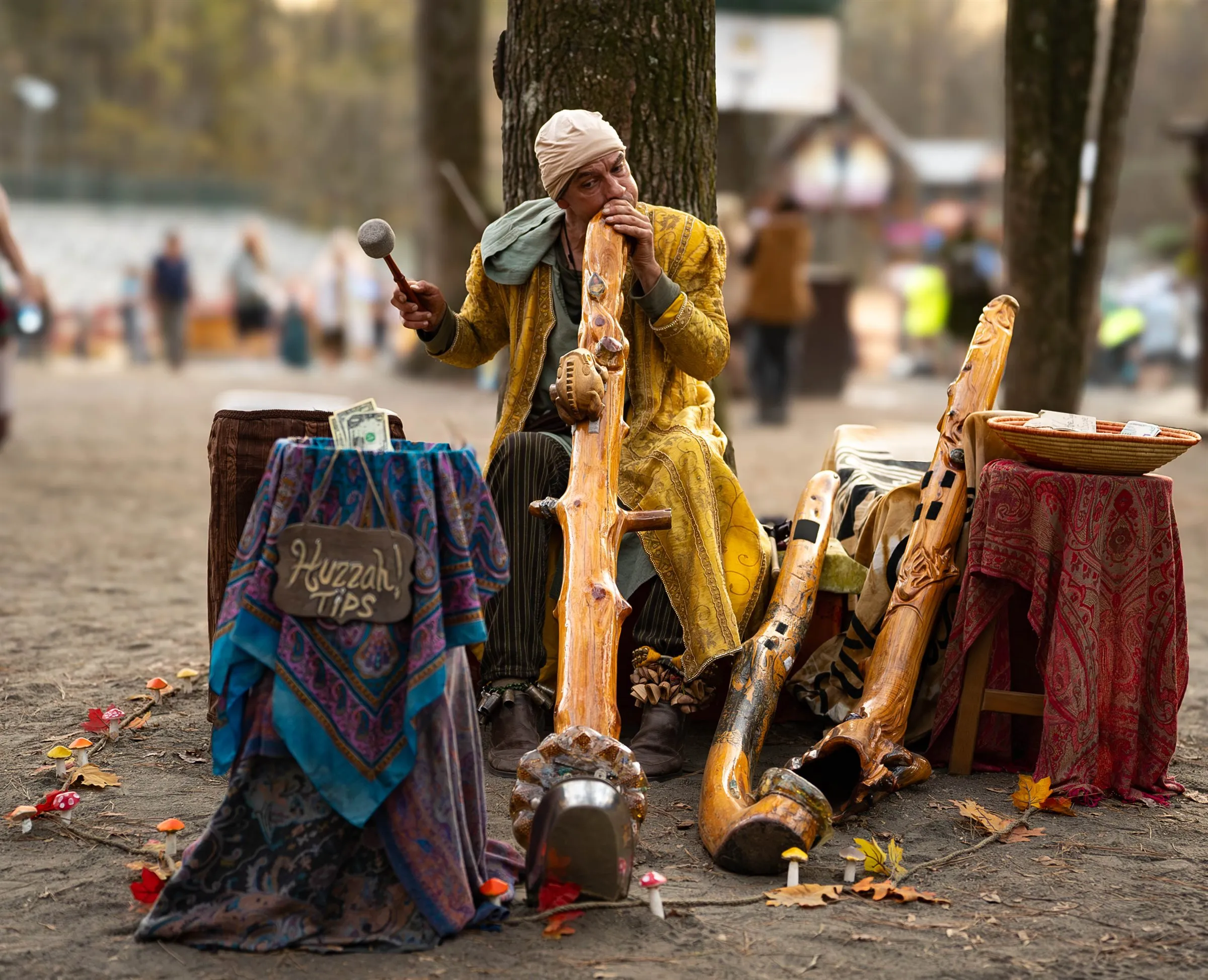 Festival musician