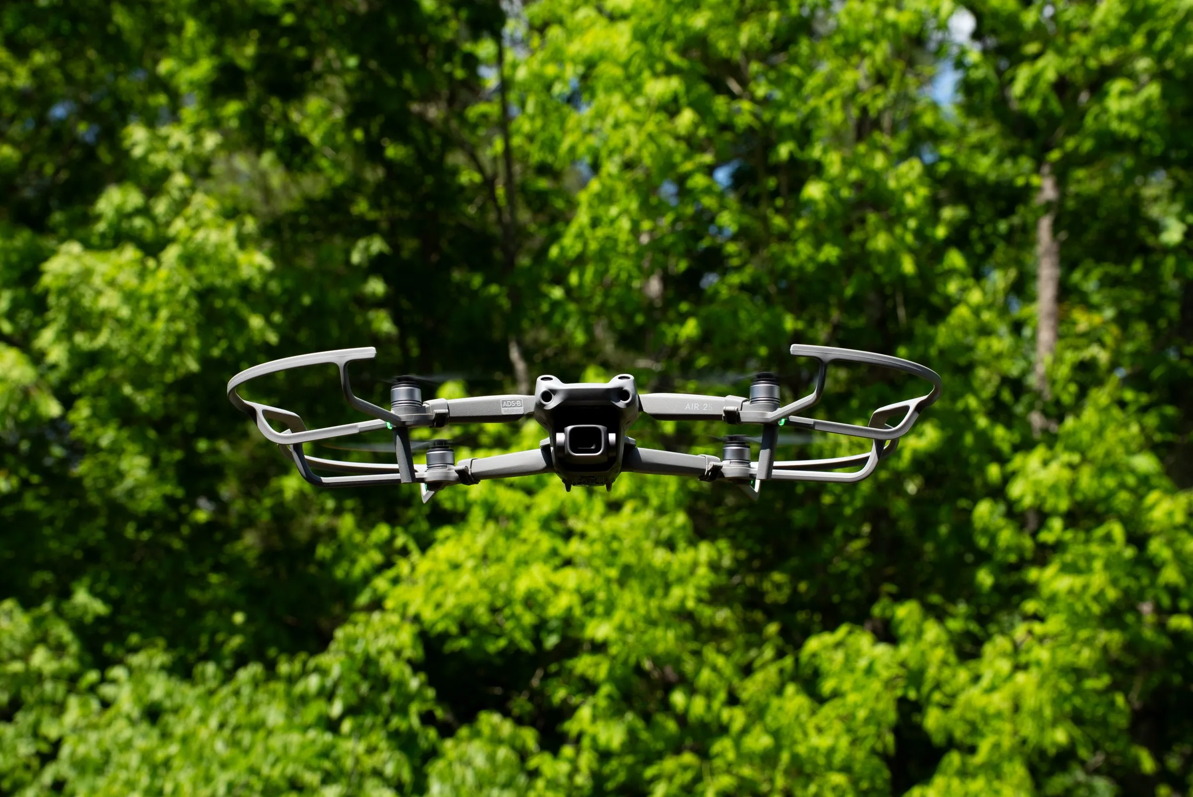Drone over trees