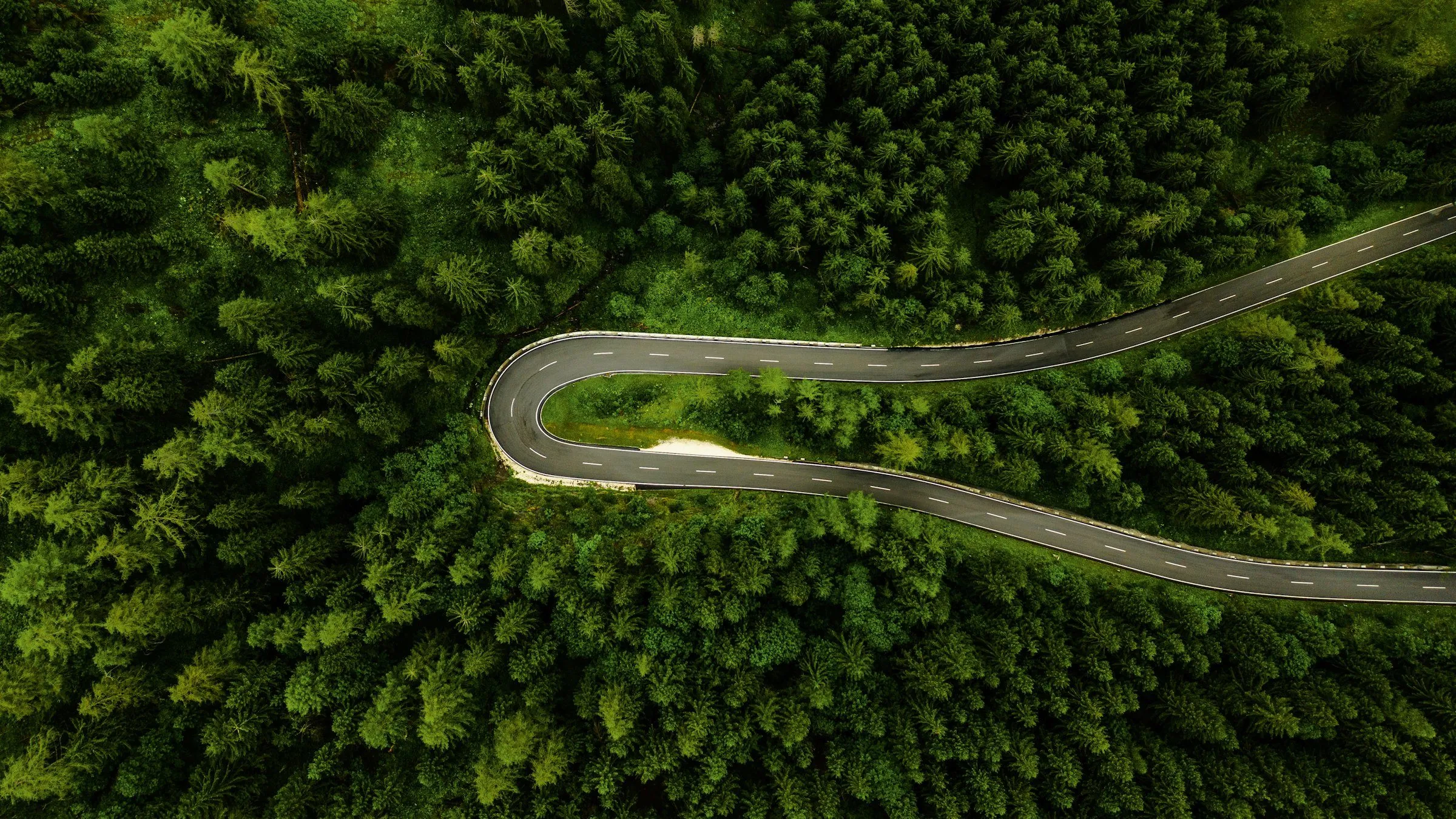 Aerial view of a road curving through a dense green forest