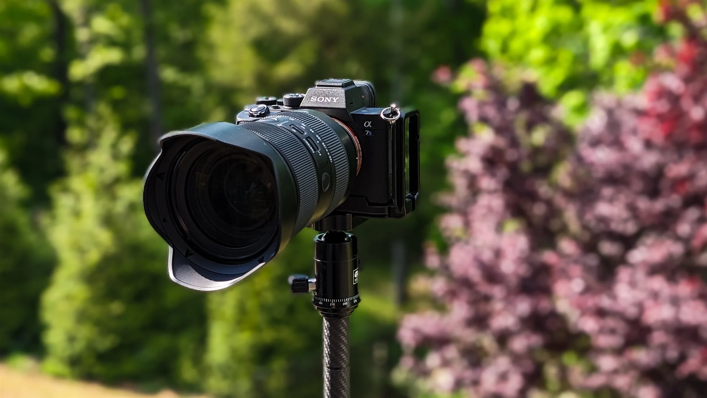 Sony A7S III with a large zoom lens in front of flowering trees