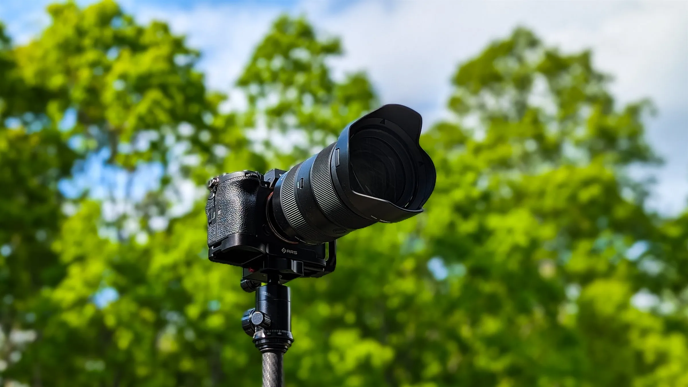 Sony A7S III on a tripod against treetops and a blue sky
